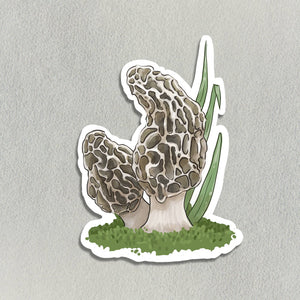 Salt Birch - Morel Mushroom Sticker