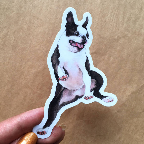Amy Rose Moore Illustration - Boston Terrier Vinyl STICKER