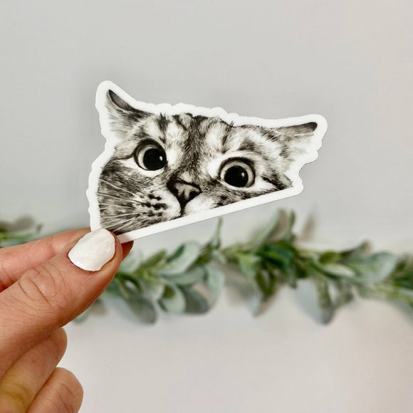 Big Moods - Peeking Cat Stickers